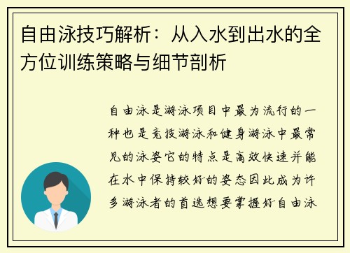 自由泳技巧解析：从入水到出水的全方位训练策略与细节剖析